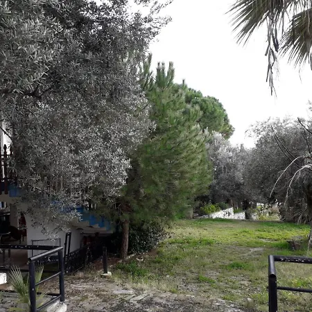 Asia Apart Hotel شقة فندقية 3*